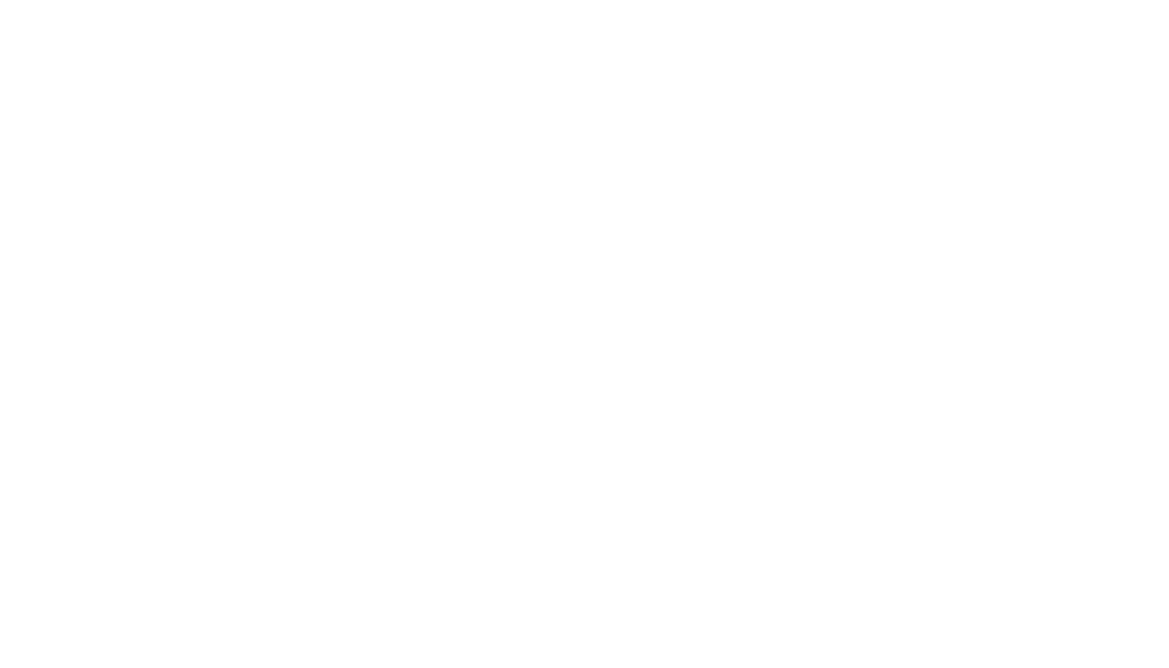 Sandy Lin's signature
