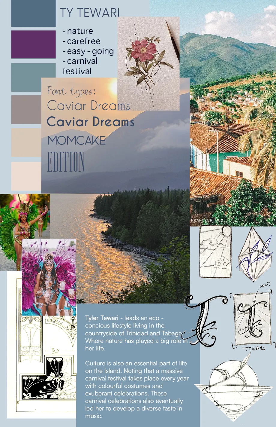 A mood board graphic with various assets for Ty Tewari's site.